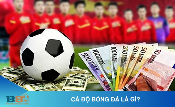 Cá độ bóng đá